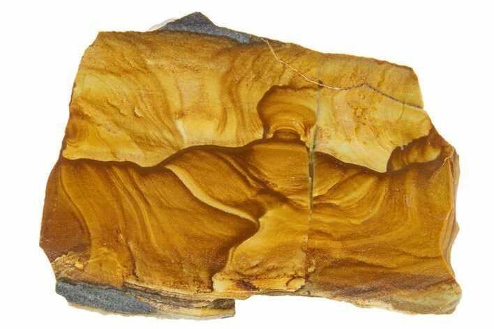 Polished Golden Picture Jasper Slice - Nevada #316215